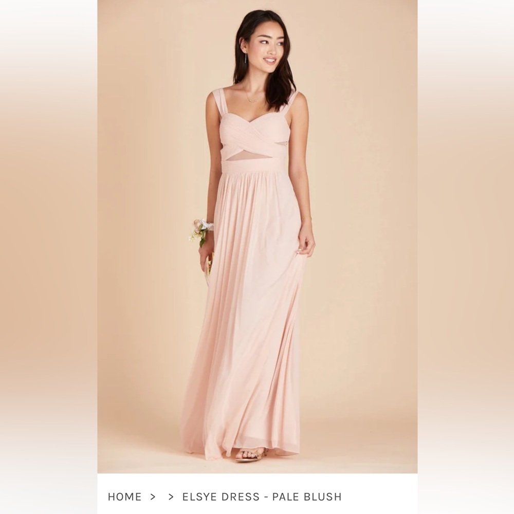 Birdy Grey Elyse Dress Mesh Pale Blush